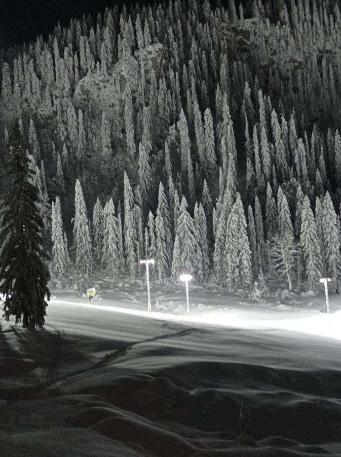 Planinska Kuca Kata -Zabac Daire Jahorina Dış mekan fotoğraf